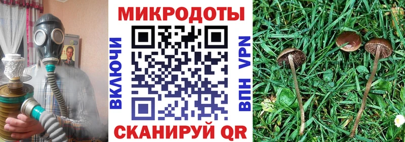 Галлюциногенные грибы прущие грибы  Купить закладки  Беслан 